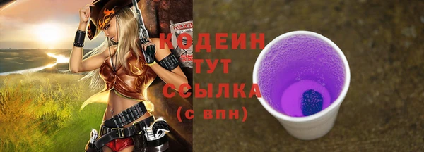 гашик Верея