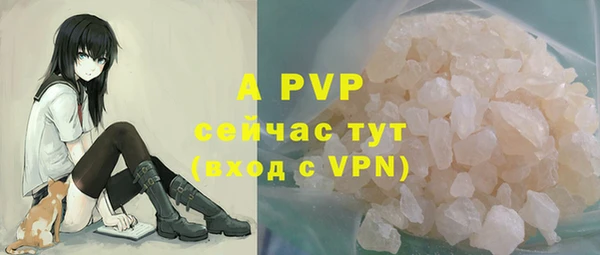 гашик Верея