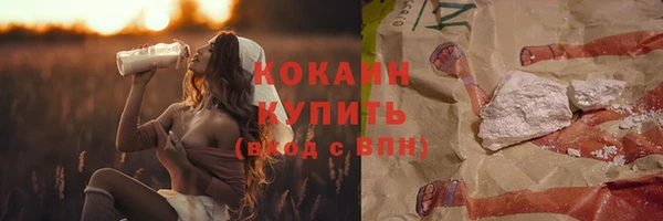 хмурый Бородино